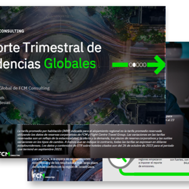 Reporte Consulting Imagen - 3 Paginas Imagen Resumen Previo